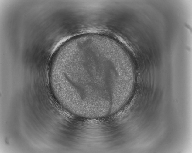 X0000094961214200712271712
