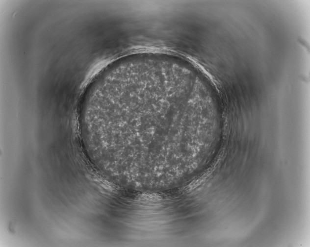 X0000094961215200712271712
