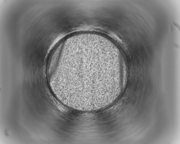 X0000094961216200712271712
