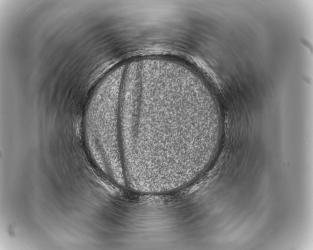 X0000094961217200712271712
