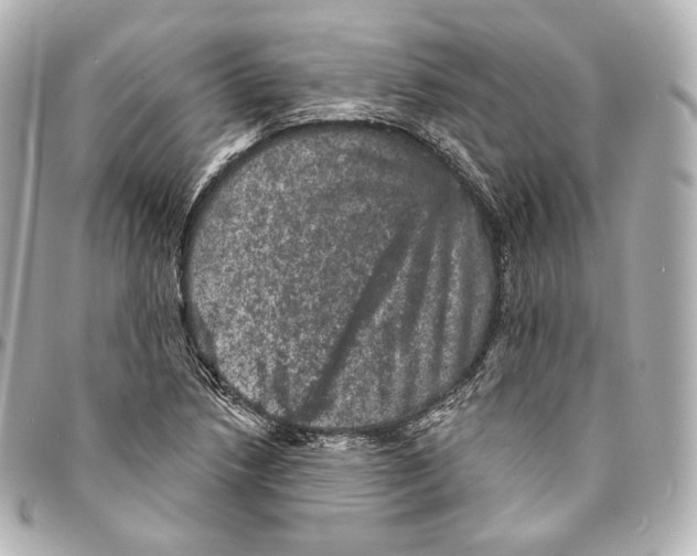 X0000094961218200712271712