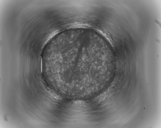 X0000094961219200712271712