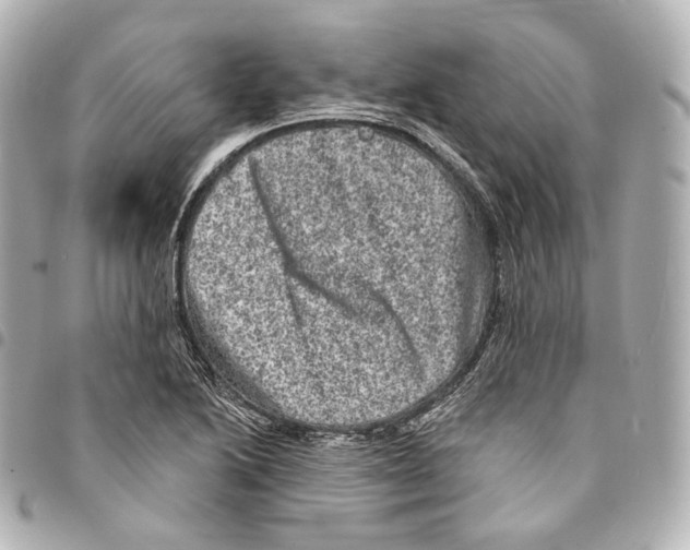 X0000094961222200712271712