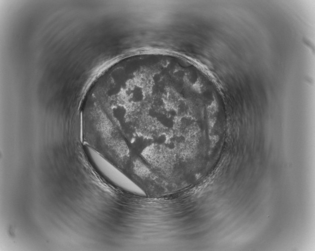 X0000094961223200712271712
