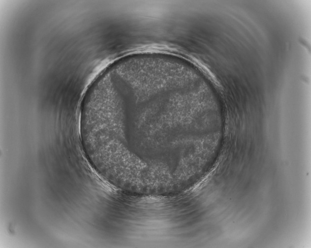 X0000094961224200712271712