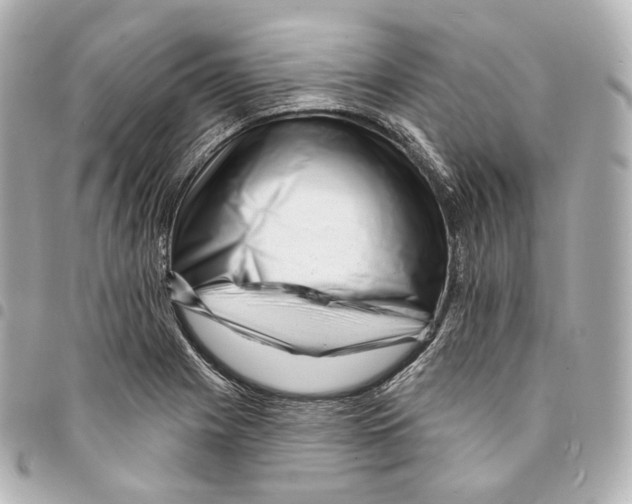 X0000094961225200712271712
