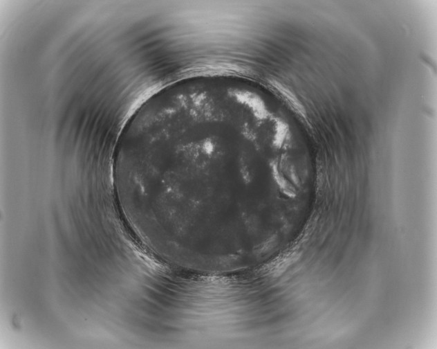X0000094961226200712271712
