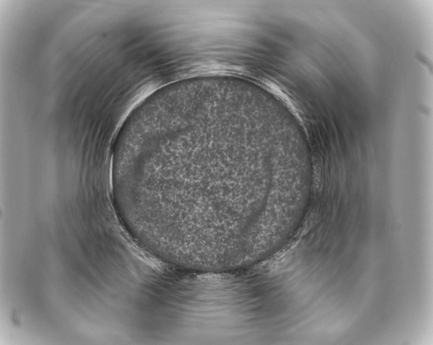 X0000094961227200712271712