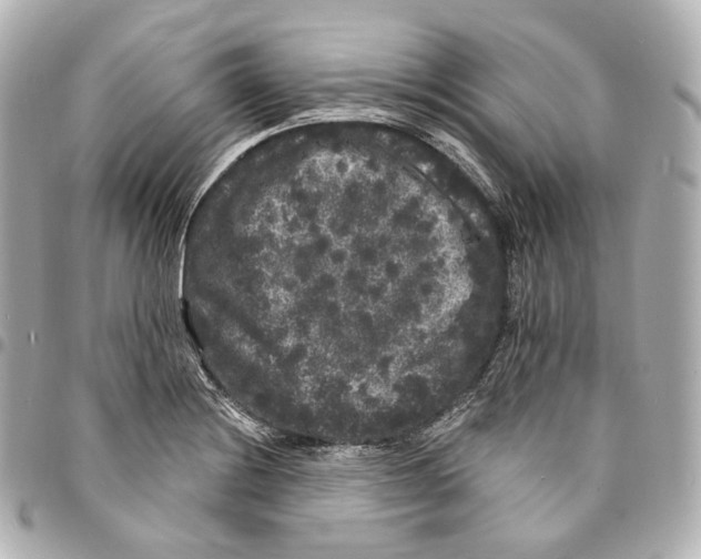X0000094961228200712271712