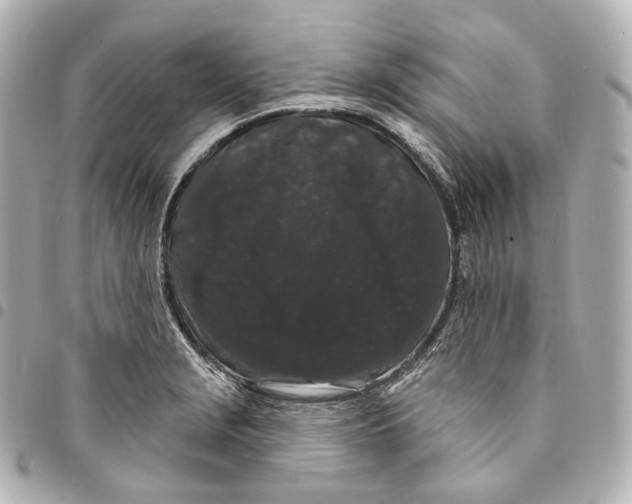 X0000094961229200712271712