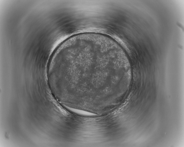 X0000094961230200712271712