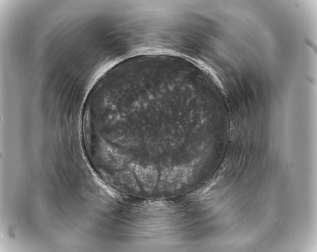 X0000094961231200712271712