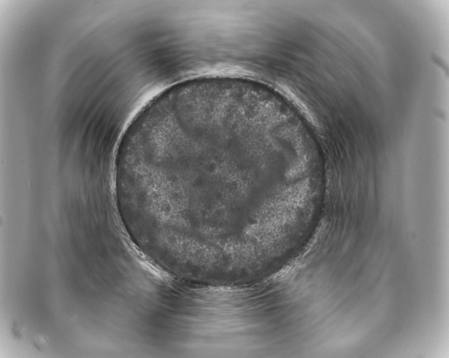 X0000094961232200712271712