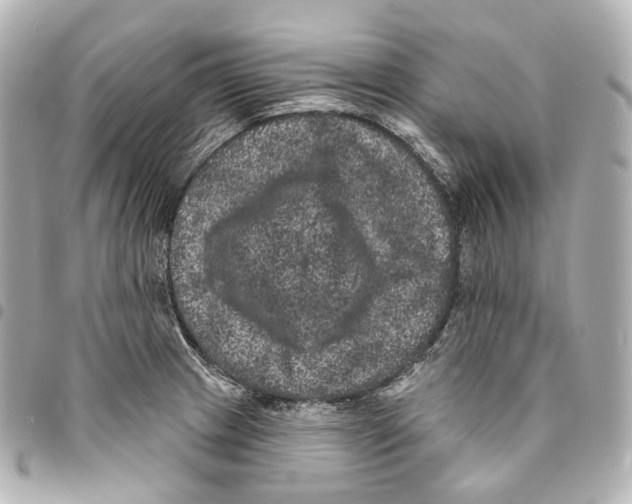 X0000094961233200712271712