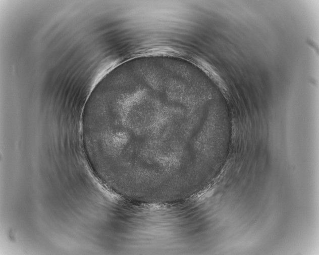 X0000094961234200712271712