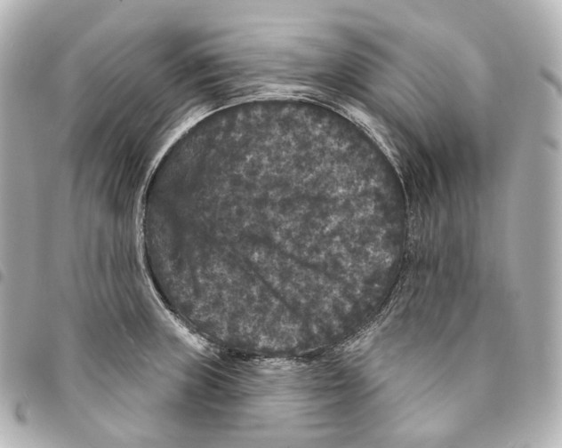 X0000094961235200712271712