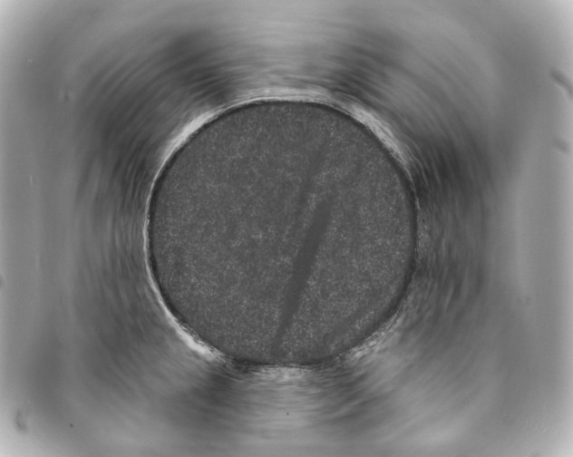X0000094961237200712271712