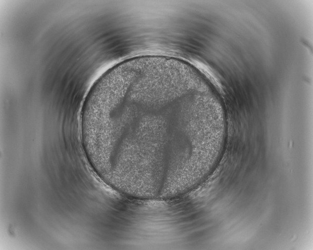 X0000094961238200712271713