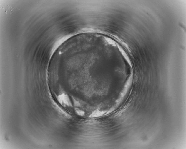 X0000094961239200712271713