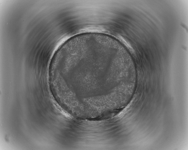 X0000094961240200712271713