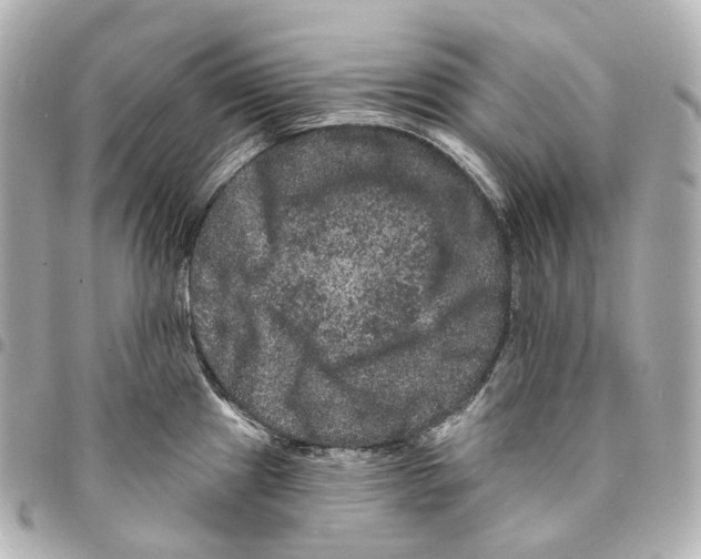 X0000094961241200712271713