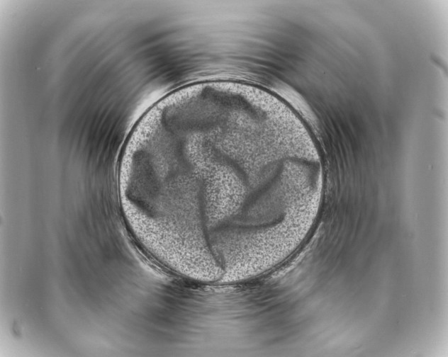 X0000094961242200712271713