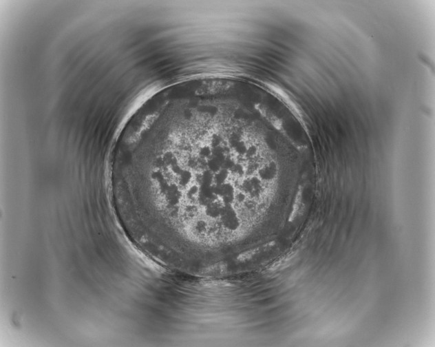 X0000094961243200712271713