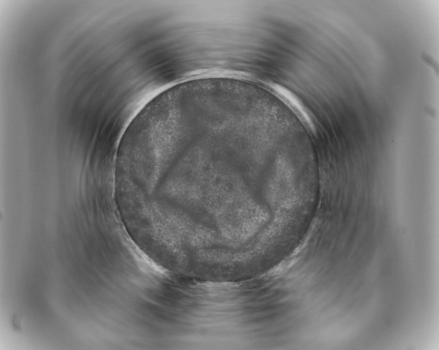 X0000094961244200712271713