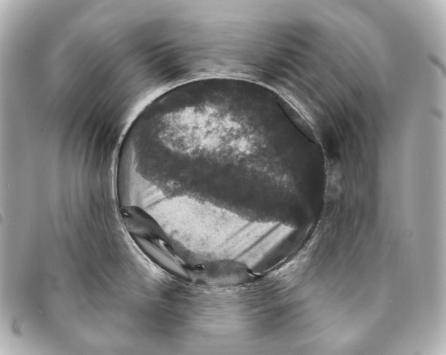 X0000094961246200712271713