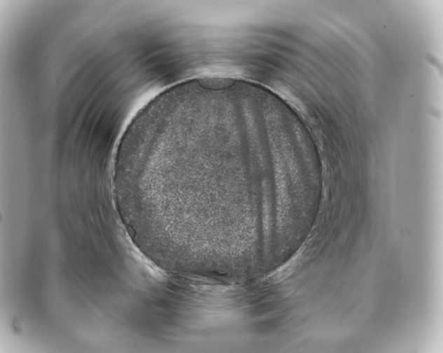 X0000094961248200712271713