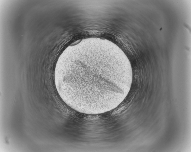 X0000094961249200712271712
