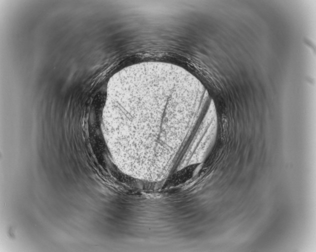 X0000094961250200712271712