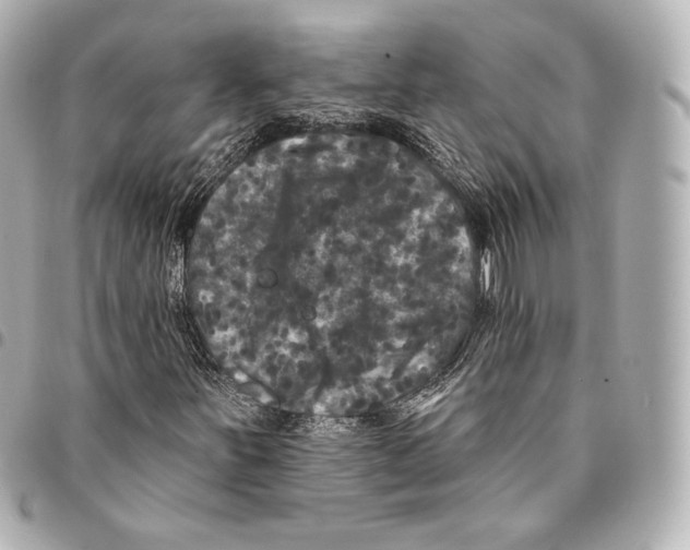X0000094961251200712271712