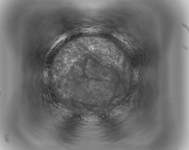X0000094961254200712271712