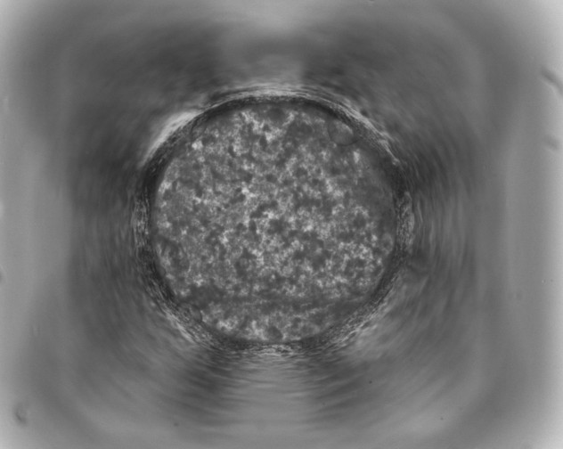 X0000094961255200712271712