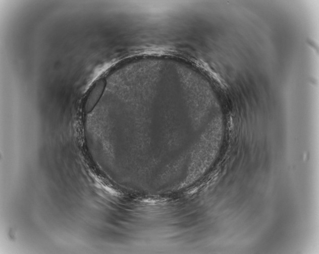 X0000094961256200712271712