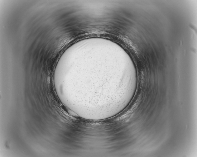 X0000094961257200712271712