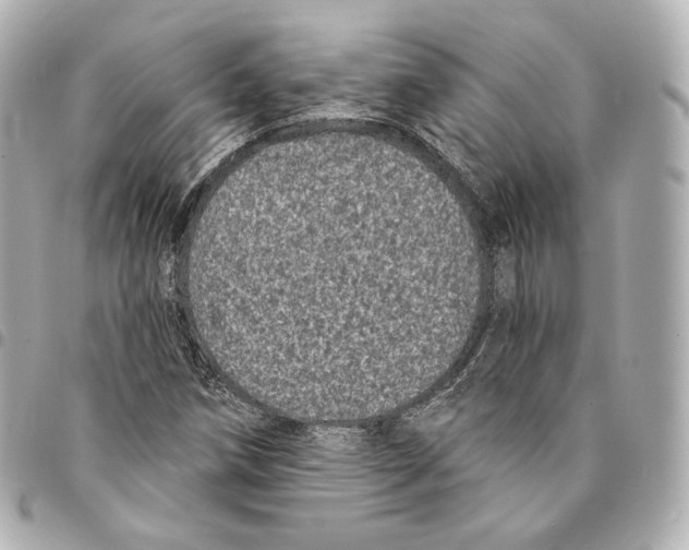 X0000094961258200712271712