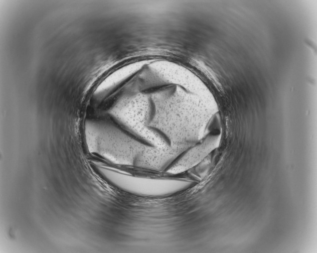 X0000094961260200712271712