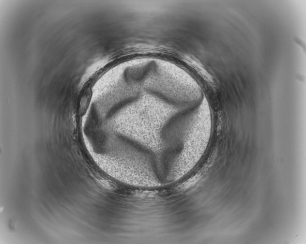 X0000094961261200712271712