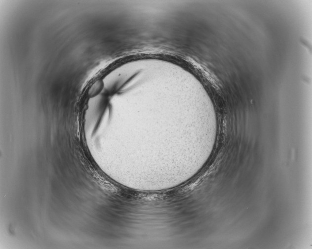 X0000094961262200712271712