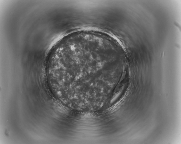 X0000094961263200712271712