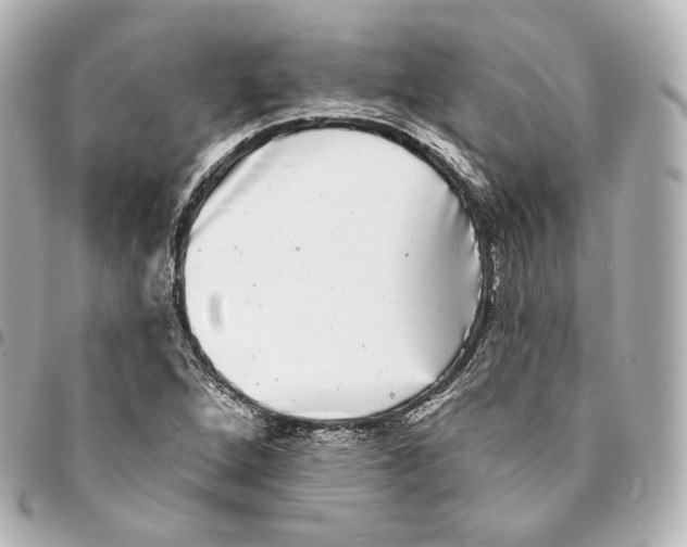 X0000094961264200712271712
