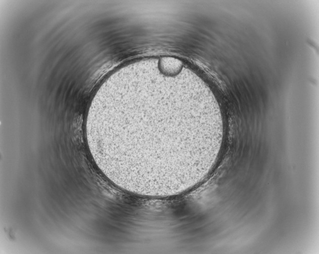 X0000094961265200712271712