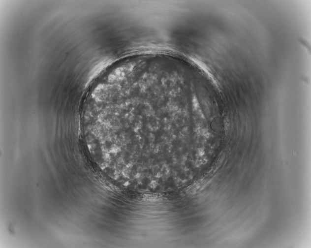 X0000094961267200712271712