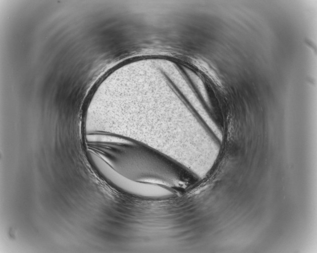 X0000094961268200712271712