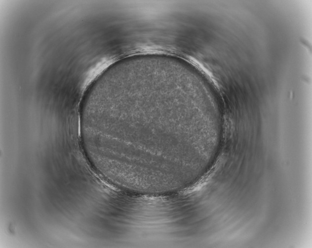 X0000094961269200712271712