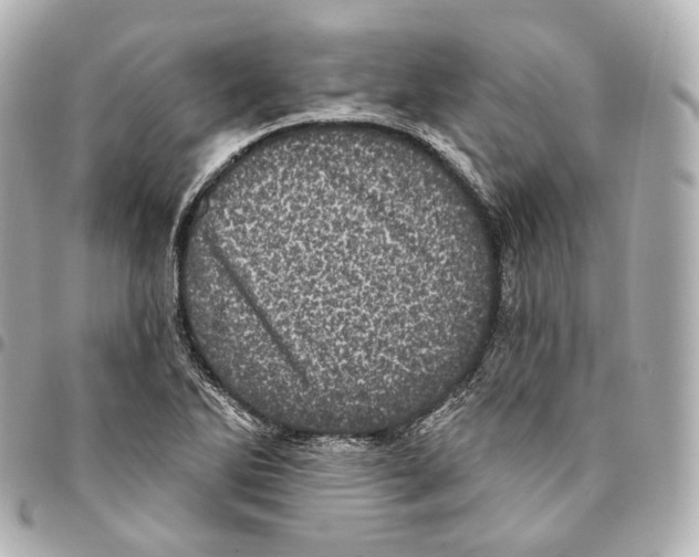 X0000094961270200712271712