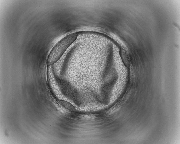 X0000094961272200712271712