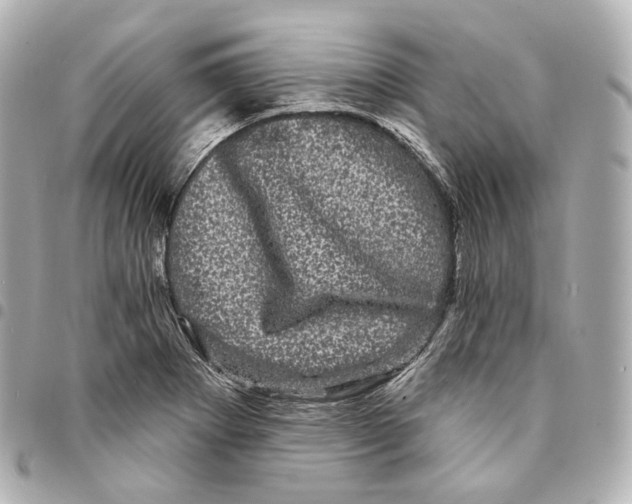X0000094961273200712271712